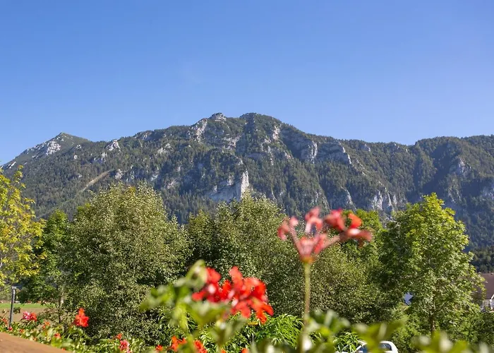 Gastehaus Madsack - Chiemgau Karte 3*